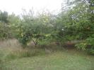 Land CHAVANGES 