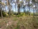 Annonce Vente Terrain Montpellier
