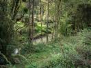 Vente Terrain Chateau-porcien  08360 3696 m2