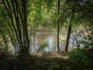 Acheter Terrain Chateau-porcien 15000 euros