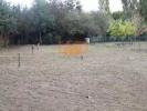 Land LIGNAN-SUR-ORB 