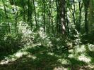 Land DAMPIERRE-EN-YVELINES 