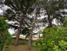 Prestigious house SAINT-MACAIRE 