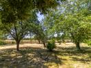 House SAINT-CHRISTOPHE-EN-BAZELLE 
