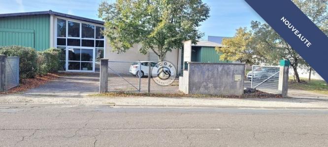 photo For sale Commerce MONT-DE-MARSAN 40