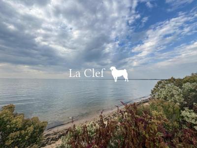 photo For sale Prestigious house GUJAN-MESTRAS 33