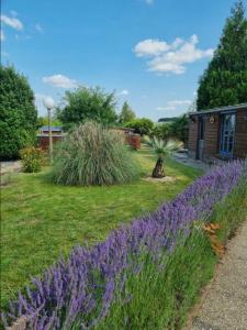 photo For sale House TILLOLOY 80