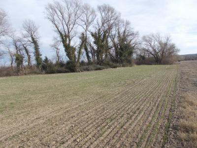 photo For sale Land BEAUMONT-DE-PERTUIS 84