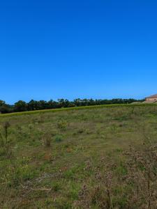 photo For sale Land SAVIGNEUX 01