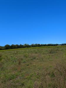 photo For sale Land SAVIGNEUX 01