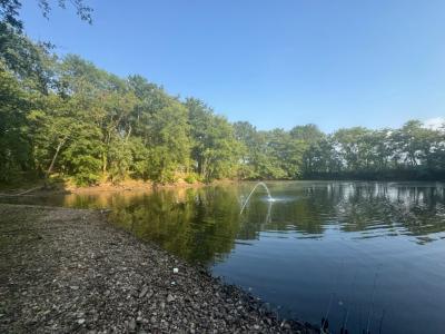 photo For sale Land LAIZY 71