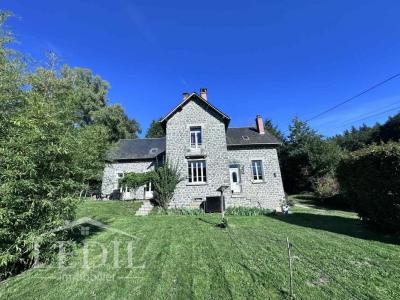 photo For sale Prestigious house LAGRAULIERE 19