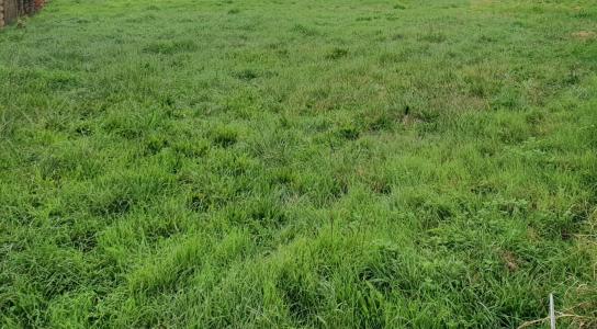 Vente Terrain BLANQUEFORT 33290
