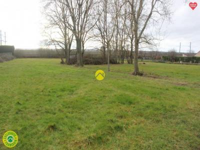 photo For sale Land TOULON-SUR-ALLIER 03