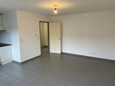 photo For rent Apartment FENOUILLET 31