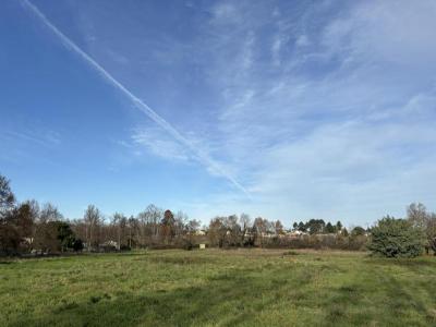 photo For sale Land CADAUJAC 33