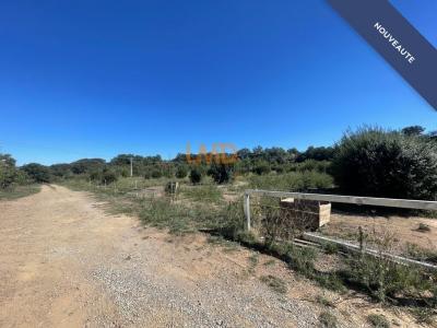 photo For sale Land THUIR 66