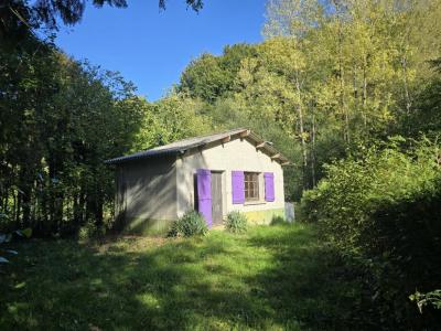 photo For sale House ARVIEU 12
