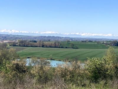 photo For sale Land BELLEGARDE-SAINTE-MARIE 31