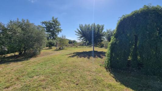 photo For sale House BUZET-SUR-TARN 31
