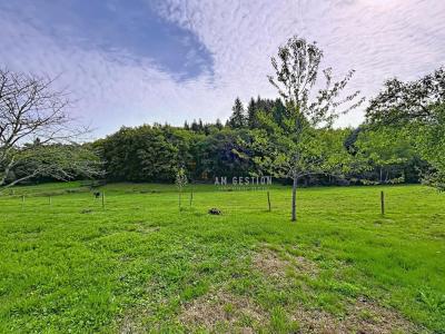 Vente Maison COMPREIGNAC