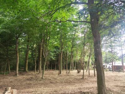 photo For sale Land LUDON-MEDOC 33