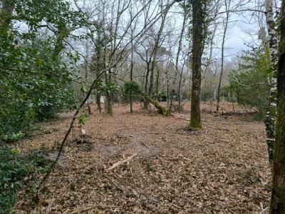 photo For sale Land HOURTIN 33