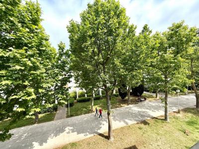 photo For sale Apartment GRANDE-MOTTE 34