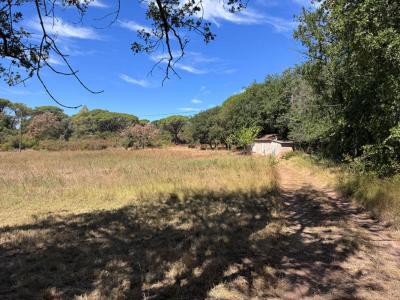 Vente Terrain MUY  83