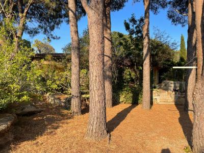 photo For sale House PORTO-VECCHIO 20