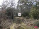 Forested aera SAINT-PAUL-EN-FORET 