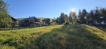 Annonce Vente Terrain Pesse