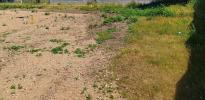 Vente Terrain Hourtin 33