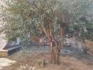 Apartment BAGNOLS-SUR-CEZE 
