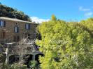 House PLANTIERS 