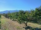 Land CERET 