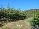 Land CERET 