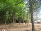 Land LUDON-MEDOC 