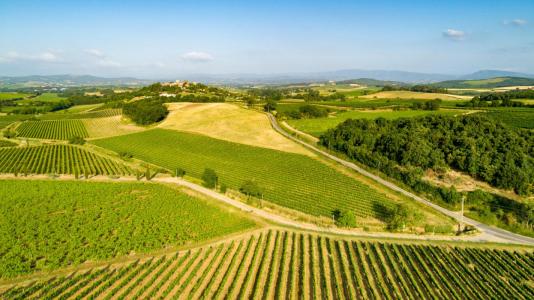 photo For sale Land BELVEZE-DU-RAZES 11