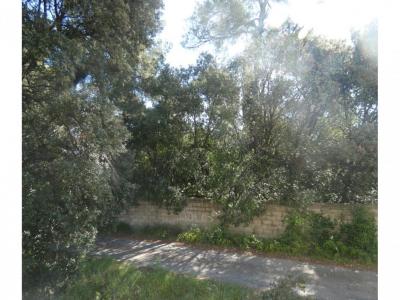 photo For sale Apartment MONTPELLIER 34