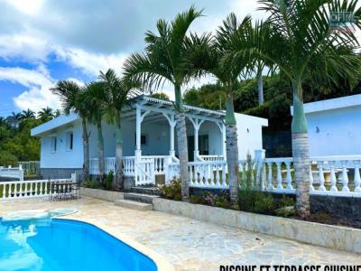 photo For rent House SAINT-DENIS 974