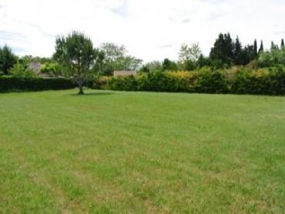 photo For sale Land BELBERAUD 31