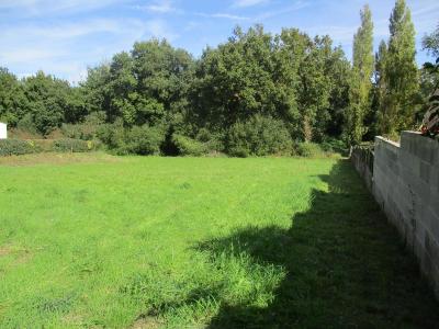 Vente Terrain GROSBREUIL 85440