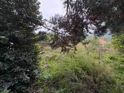 Vente Appartement FOUILLOUSE 