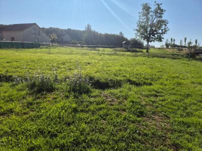photo For sale Land LALIZOLLE 03