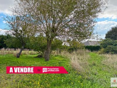 photo For sale Land DAUMERAY 49
