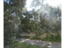 Annonce Vente 3 pices Appartement Juvignac