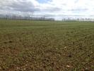 Vente Terrain Saint-martin-de-fontenay 14