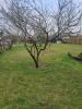 Vente Terrain Bauge 49