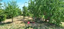 Annonce Vente 6 pièces Maison Vendome